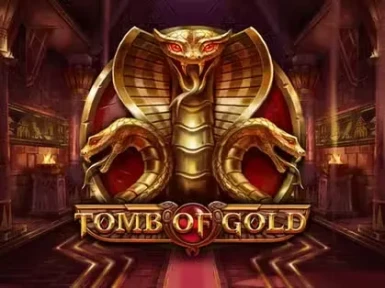 Wildrobin Casino screenshot